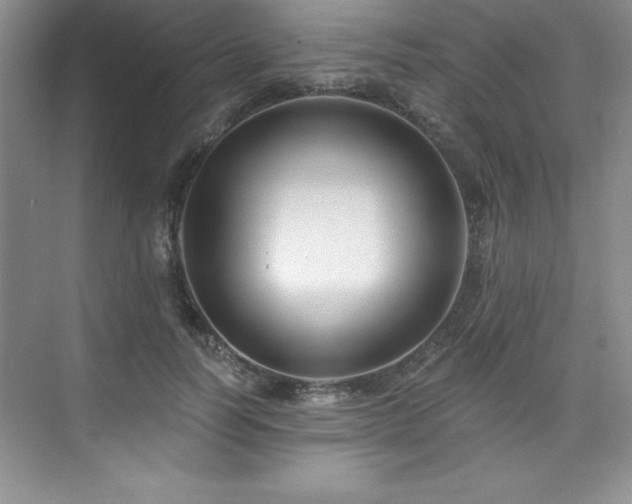 X0000076260746200609281206