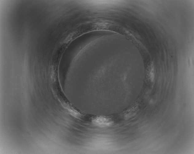 X0000076260759200609281207