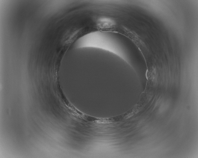 X0000076260763200609281207