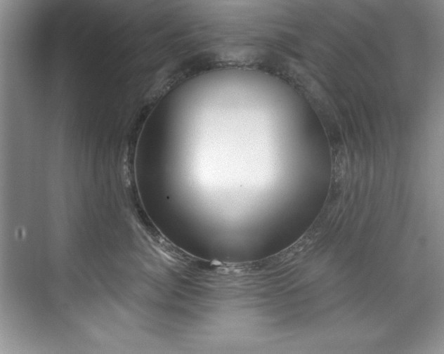 X0000076260764200609281207