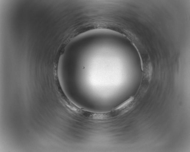 X0000076260766200609281207