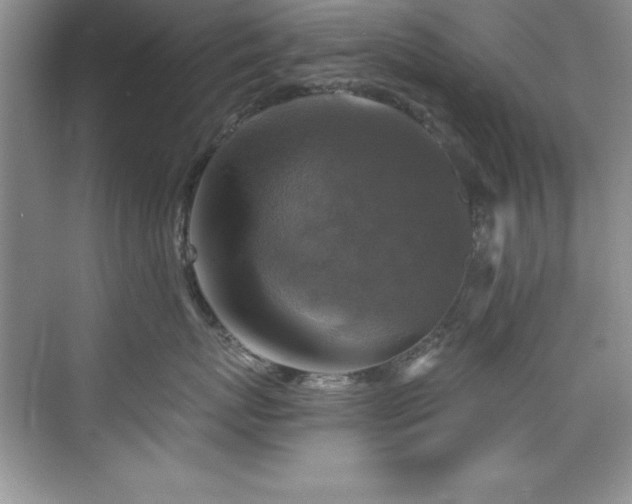 X0000076260767200609281207