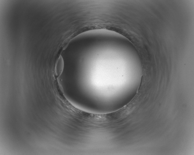 X0000076260768200609281207