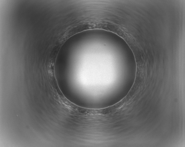 X0000076260770200609281206