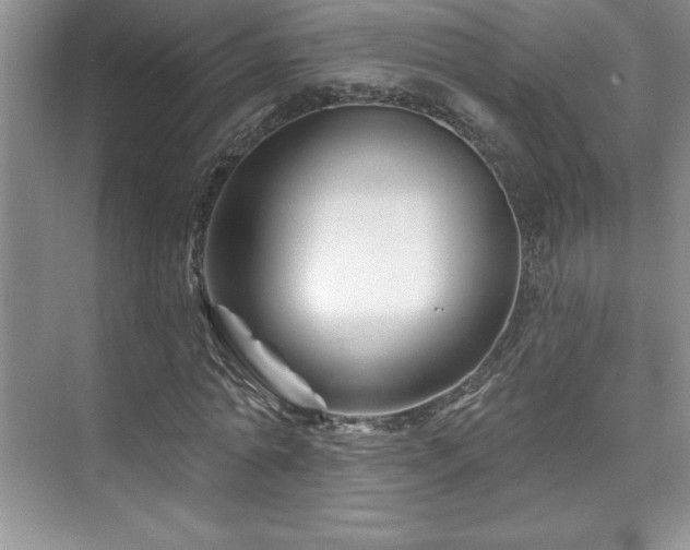 X0000076260774200609281206