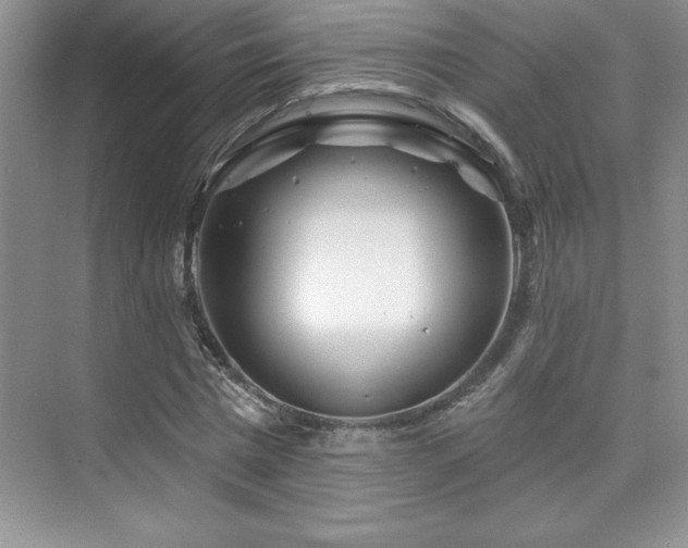 X0000076260777200609281206