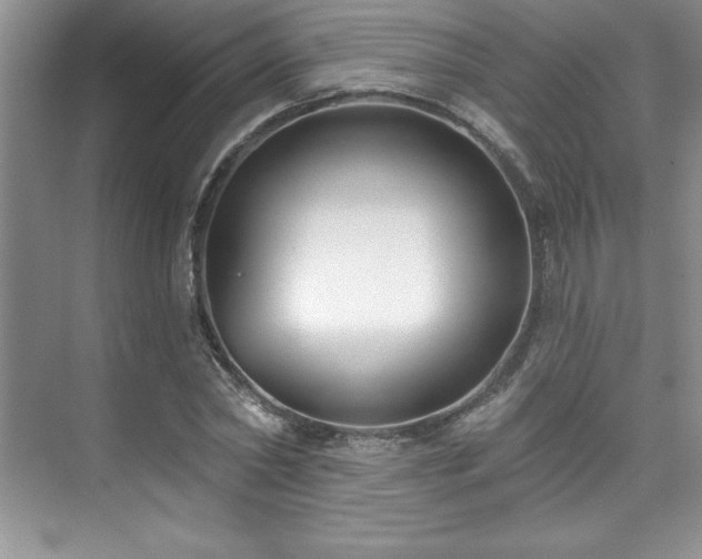 X0000076260782200609281206