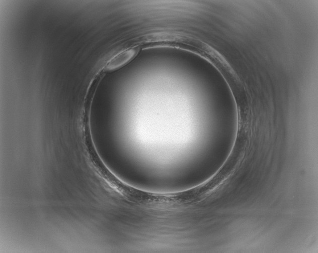 X0000076260786200609281206