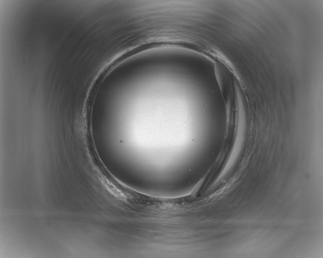 X0000076260787200609281206