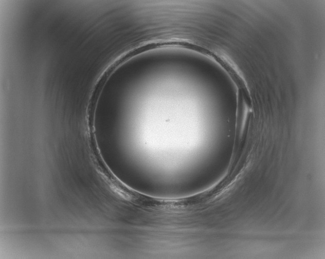 X0000076260789200609281206