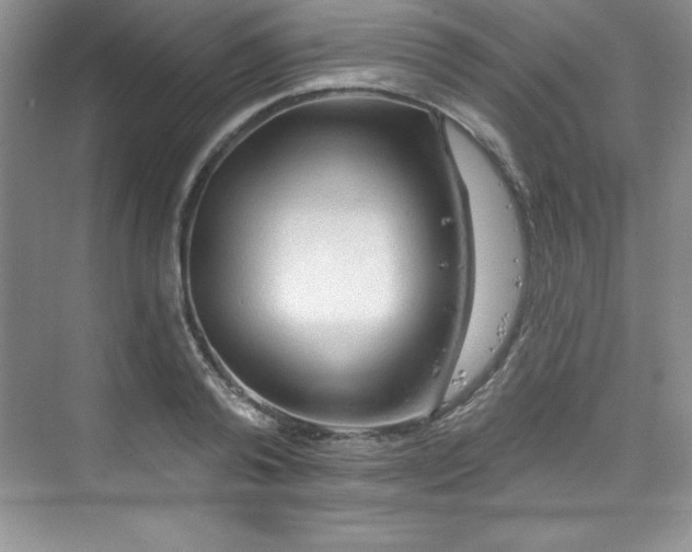 X0000076260792200609281205