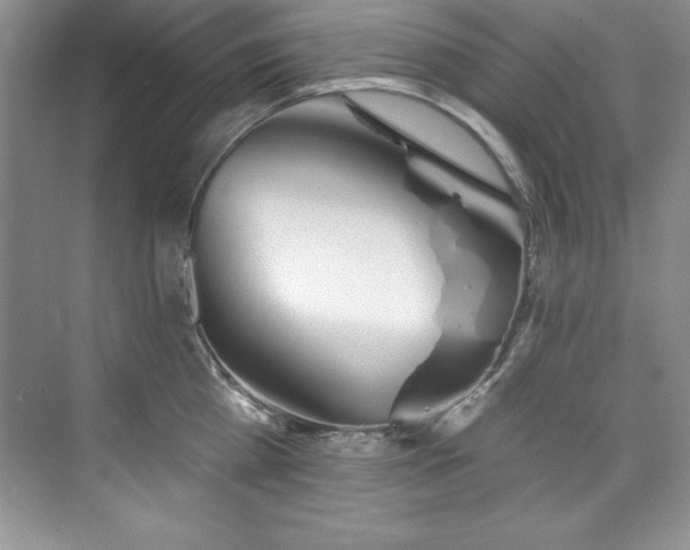 X0000076260809200609281205