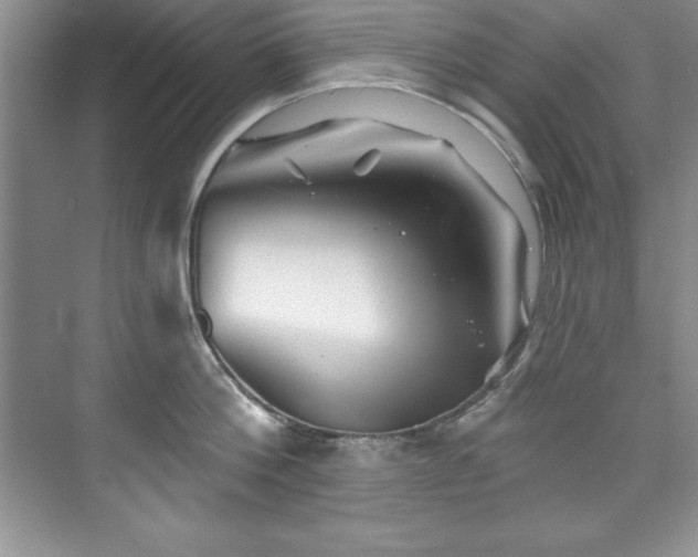 X0000076260812200609281205
