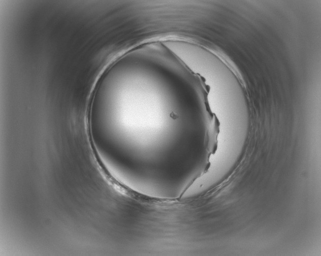 X0000076260813200609281205