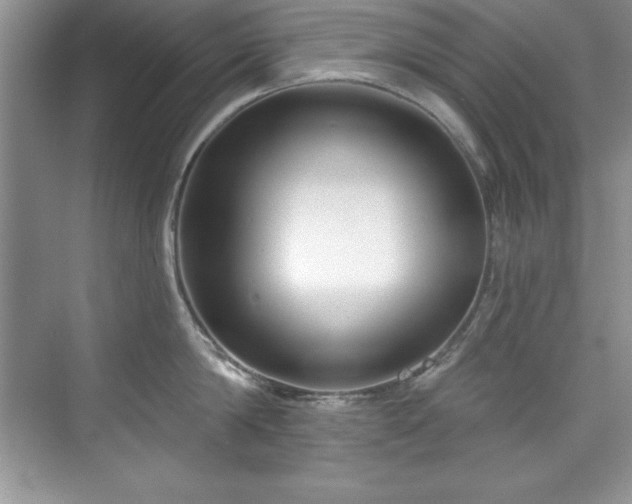 X0000076260814200609281205