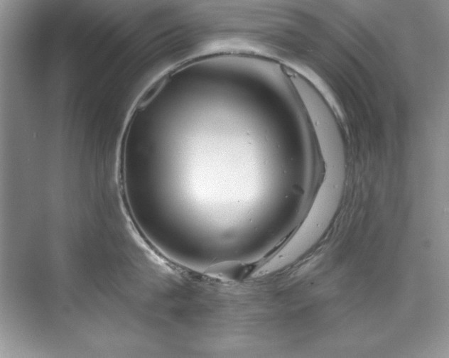 X0000076260815200609281205