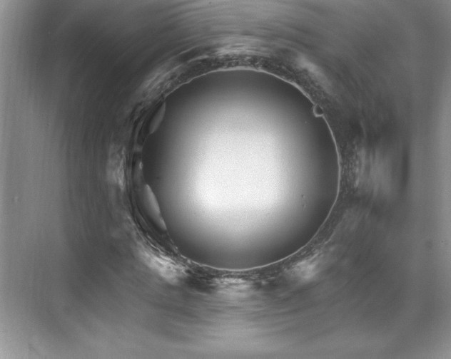 X0000076260821200609281204