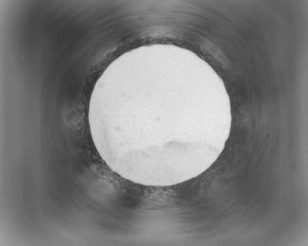 X0000076260824200609281204