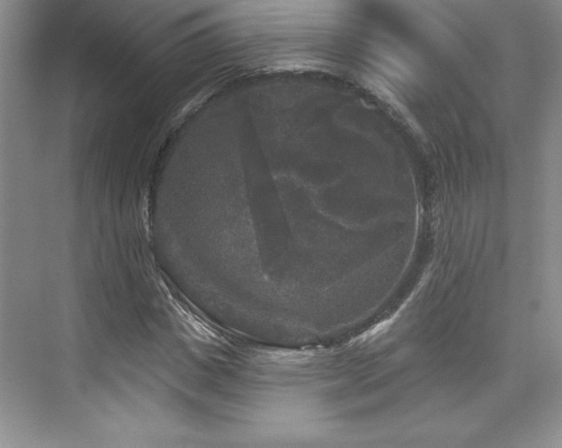 X0000076260825200609281204