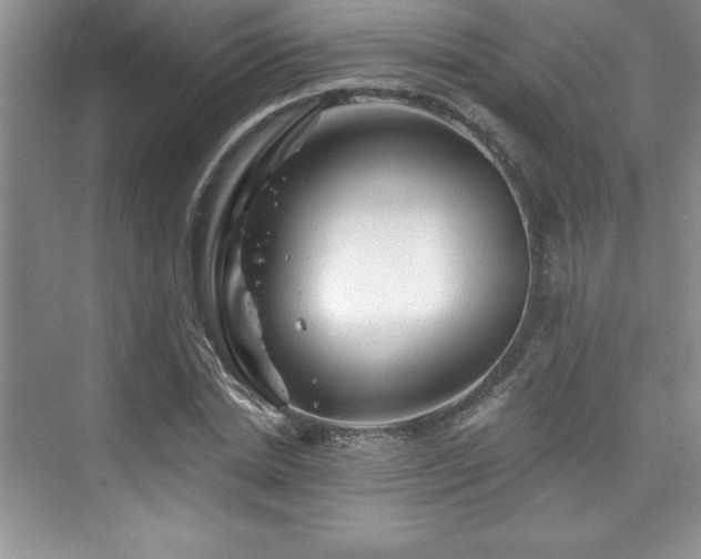 X0000076260830200609281204