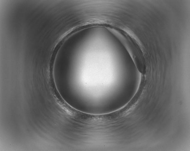 X0000076260834200609281205