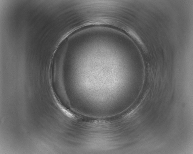 X0000076260842200609281205