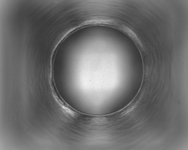 X0000076260844200609281205