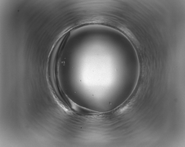X0000076260850200609281205