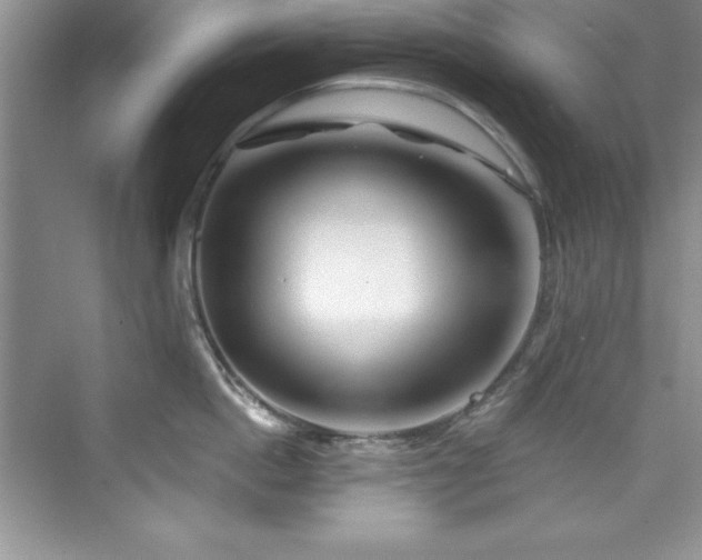 X0000076260862200609281205