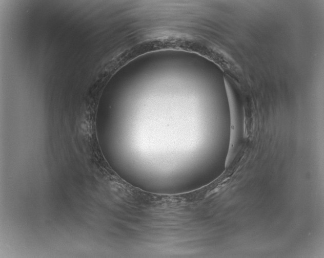 X0000076260869200609281204
