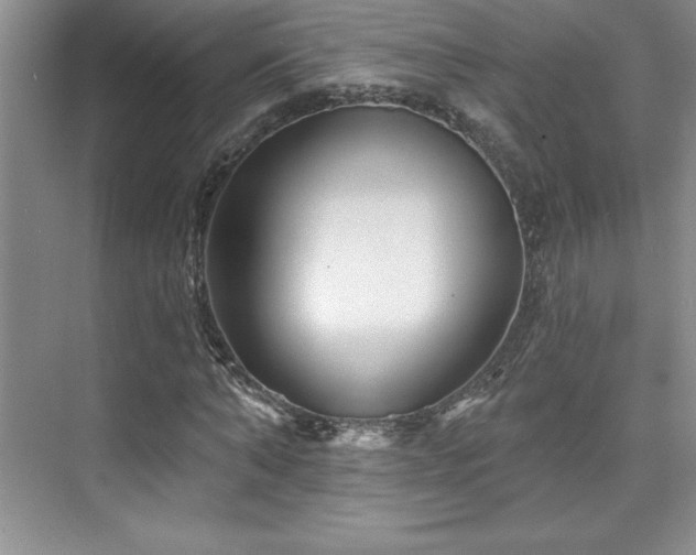 X0000076260870200609281204