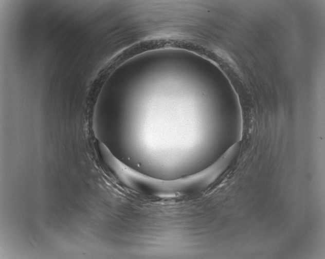 X0000076260872200609281204