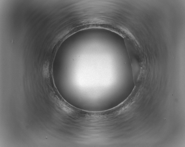 X0000076260873200609281204