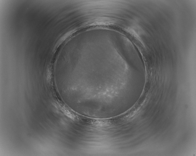 X0000076260874200609281204