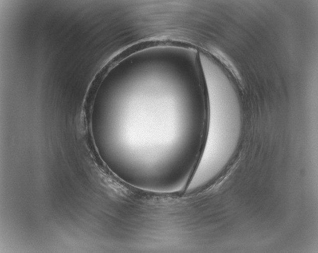 X0000076260876200609281204
