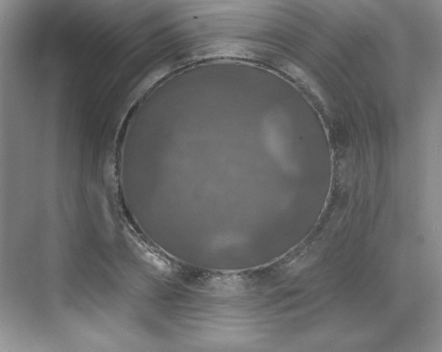 X0000076260882200609281204