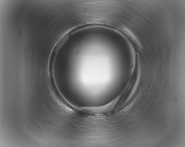 X0000076260884200609281204