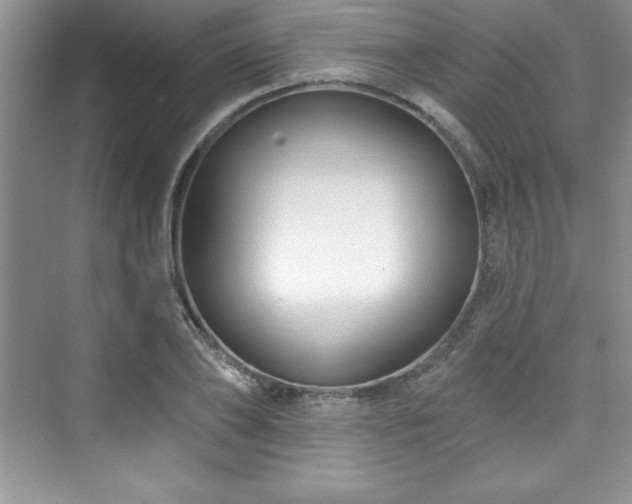 X0000076260886200609281204