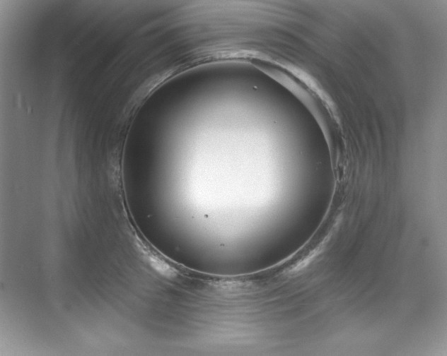 X0000076260897200609281204