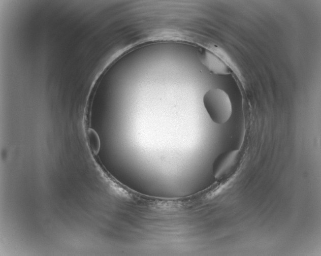 X0000076260901200609281204