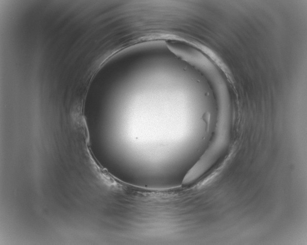 X0000076260905200609281204