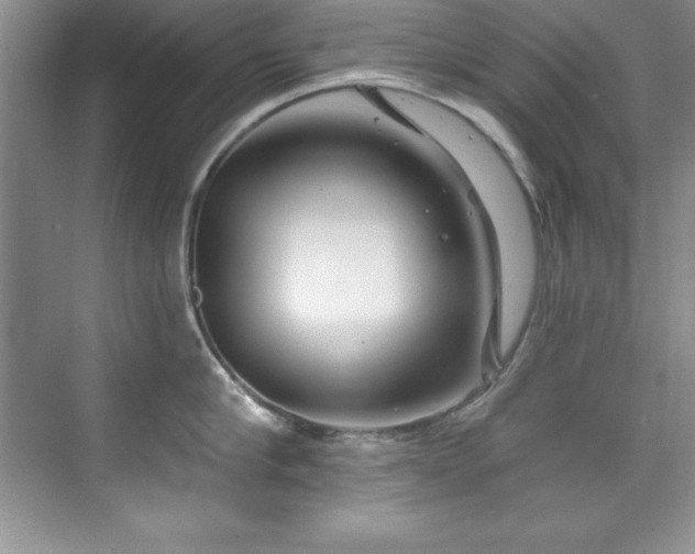 X0000076260910200609281203