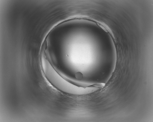 X0000076260911200609281203