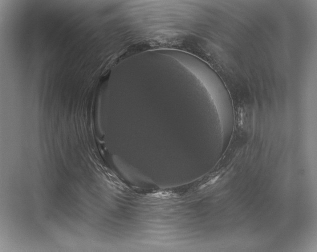 X0000076260915200609281203
