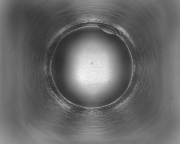 X0000076260922200609281203