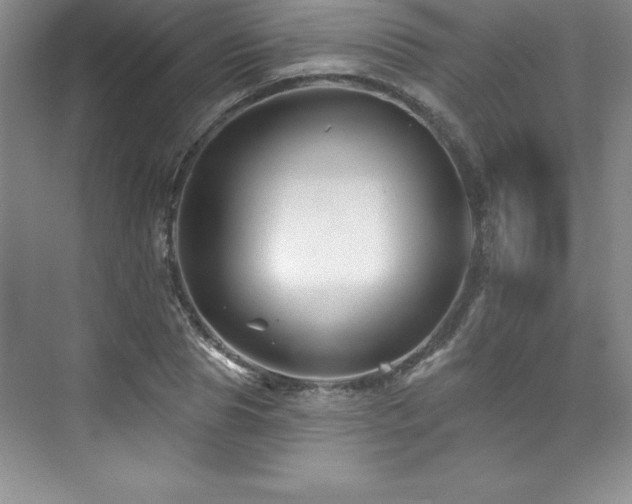 X0000076260929200609281203
