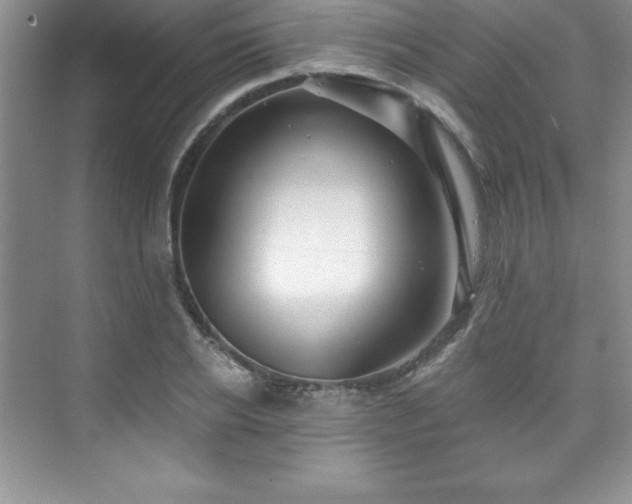 X0000076260934200609281203