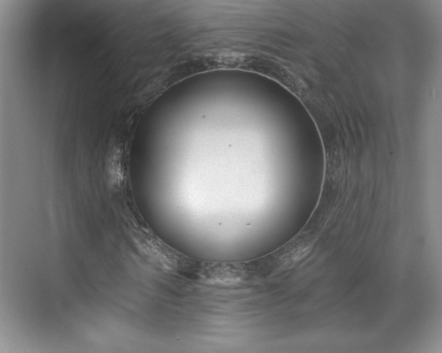 X0000076260962200609281203