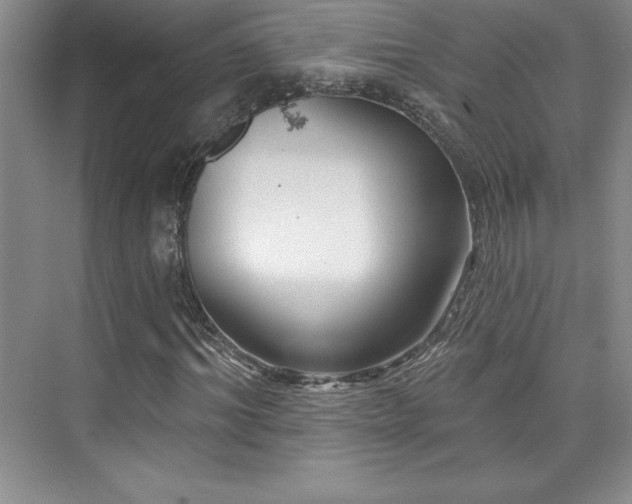 X0000076260964200609281203
