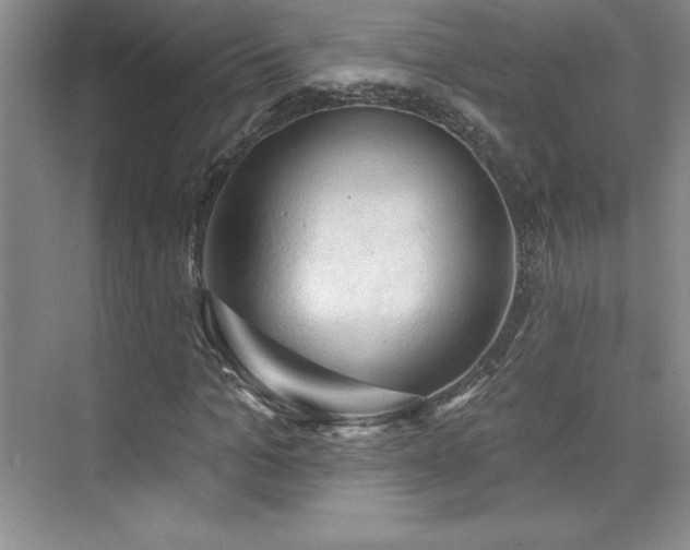 X0000076260965200609281203